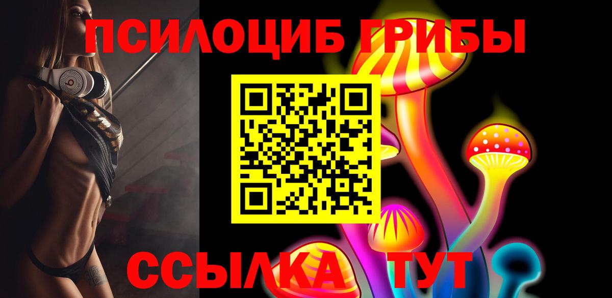 где купить   Вход с VPN  Псилоцибиновые грибы ЛСД  Курганинск  Галлюциногенные грибы Magic Shrooms 